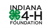Logo of the Indiana 4-H Foundation. The design features the text 'INDIANA 4-H FOUNDATION' in bold, black letters. The '4-H' includes a green four-leaf clover with an 'H' on each leaf, representing head, heart, hands, and health.